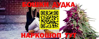 спиды Лесосибирск
