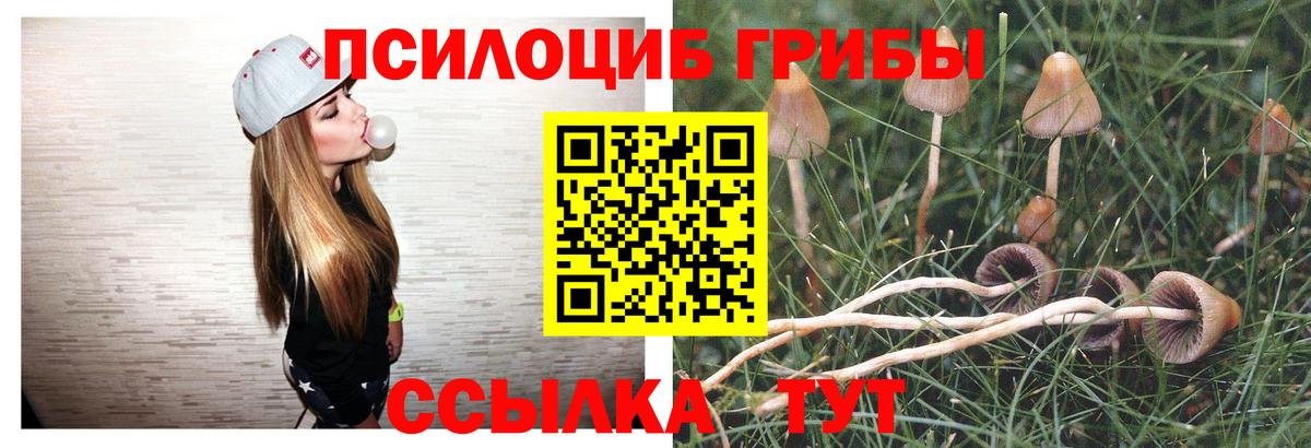 Псилоцибиновые грибы ЛСД  Вход с VPN  купить наркотики сайты  Анапа 