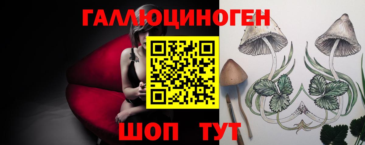 Псилоцибиновые грибы MAGIC MUSHROOMS Анапа